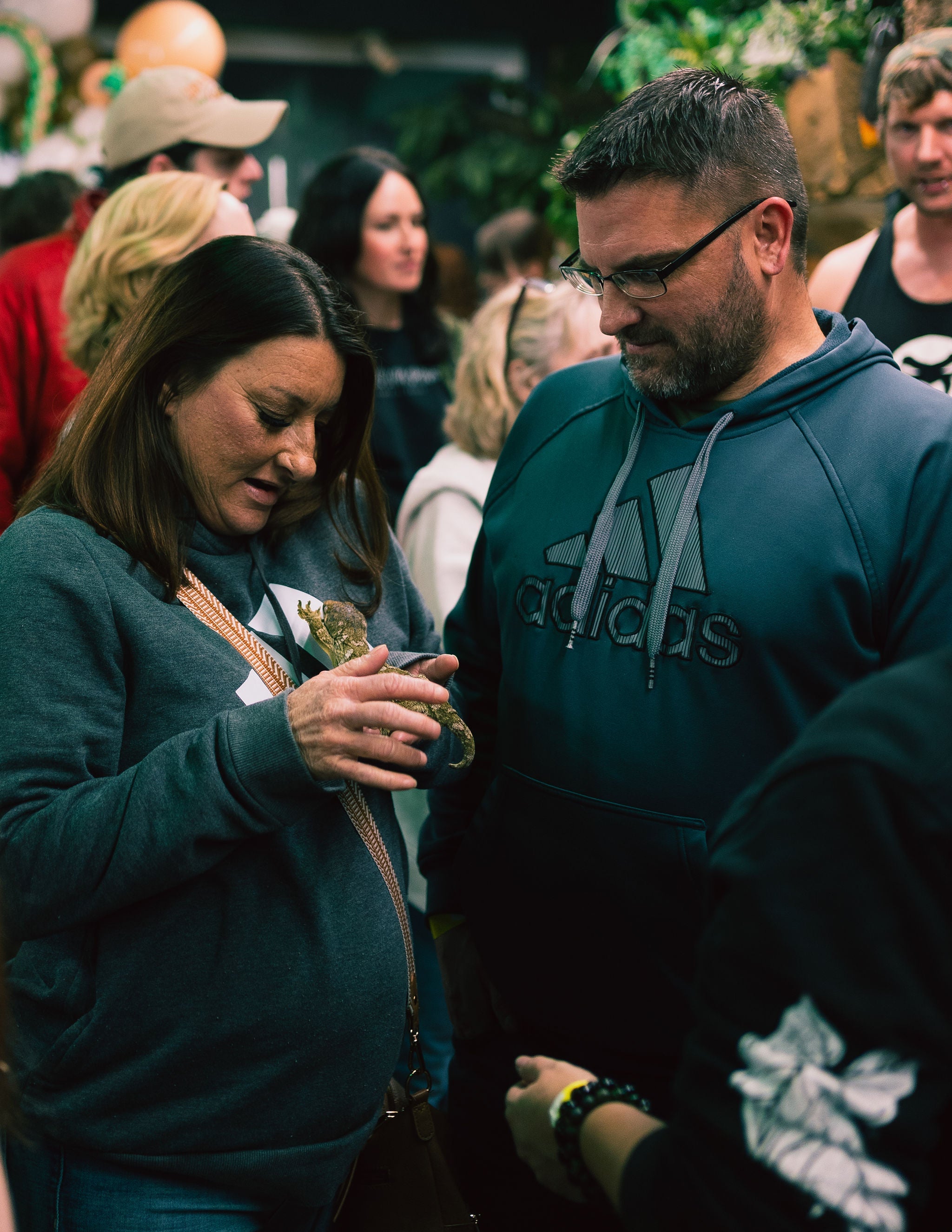 Follow The Reptile Room STL | Instagram, Facebook & Youtube