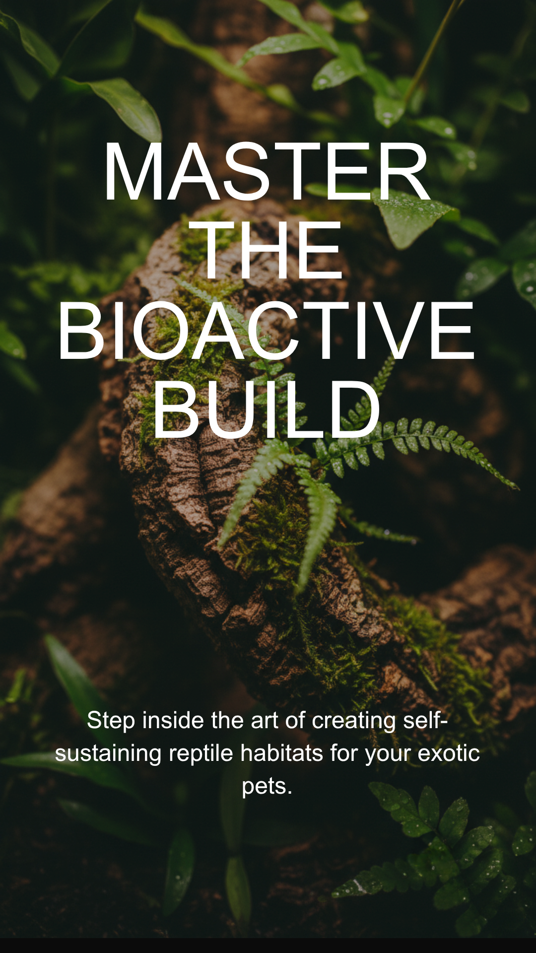 Reptile Workshops in St. Louis | The Reptile Room STL