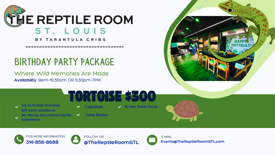 Birthday Party Packages