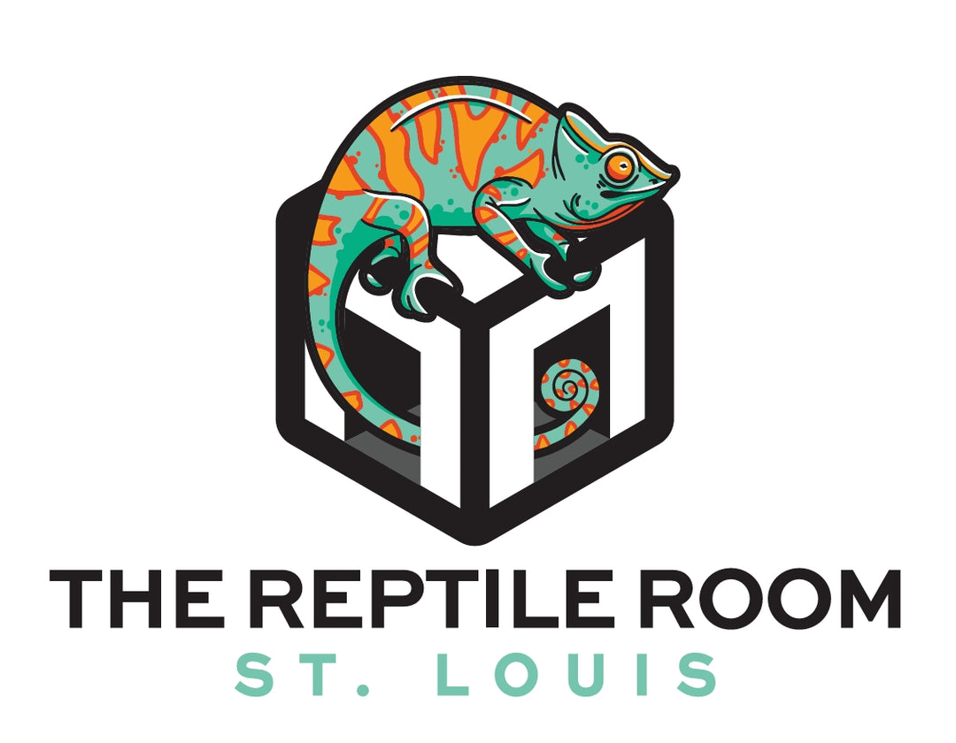 Single Person Membership