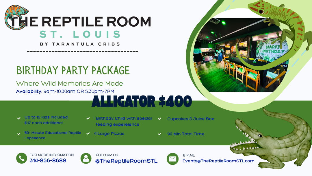 Birthday Party Packages