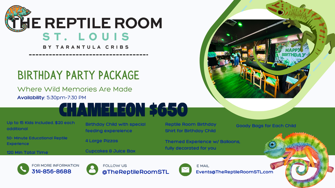 Birthday Party Packages