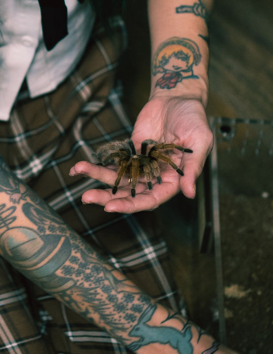 🦎 Private Interactive Educational Tour – $150