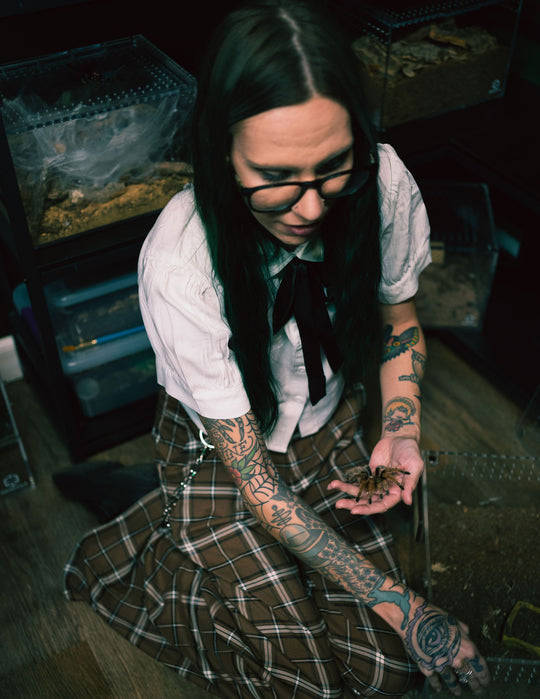 Reptile Room Ticket (Public Hours)