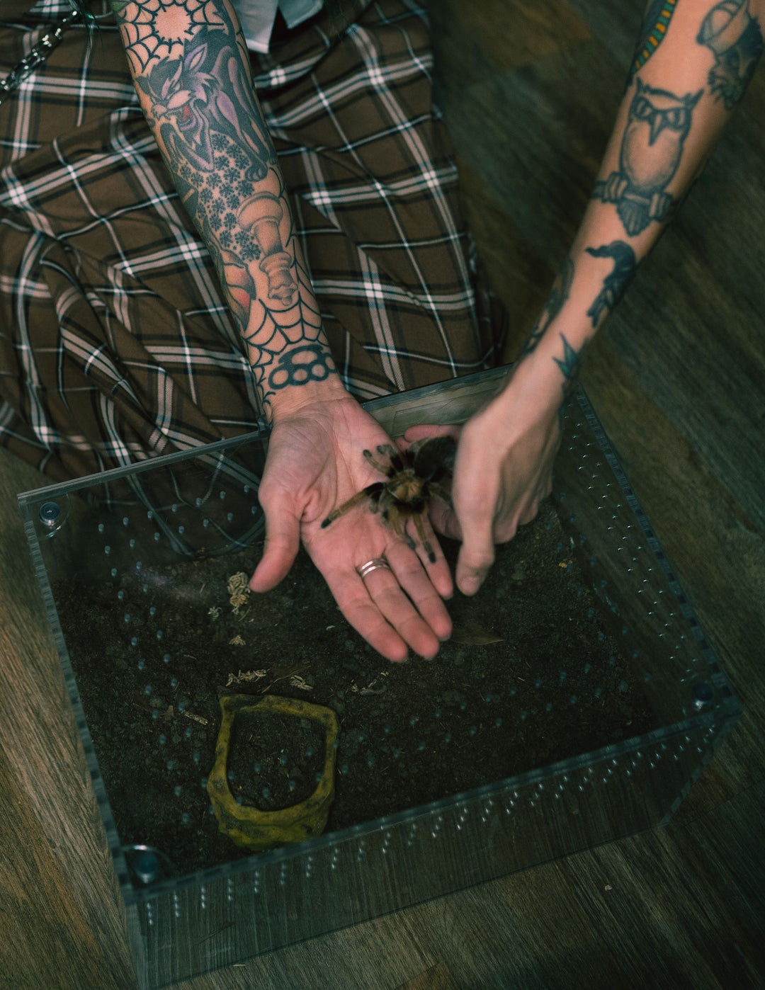 Reptile Room Ticket to Interactive Wildlife Discovery Zone