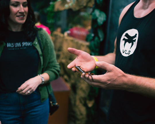 Reptile Room Ticket (Public Hours)