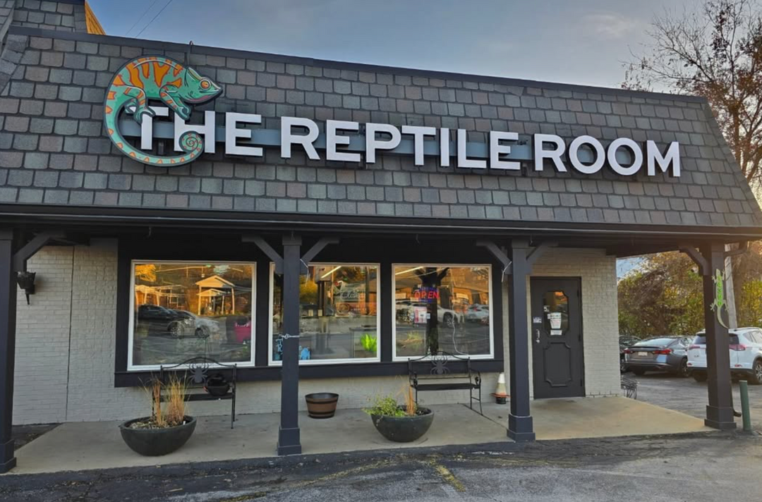Reptile Room Ticket to Interactive Wildlife Discovery Zone