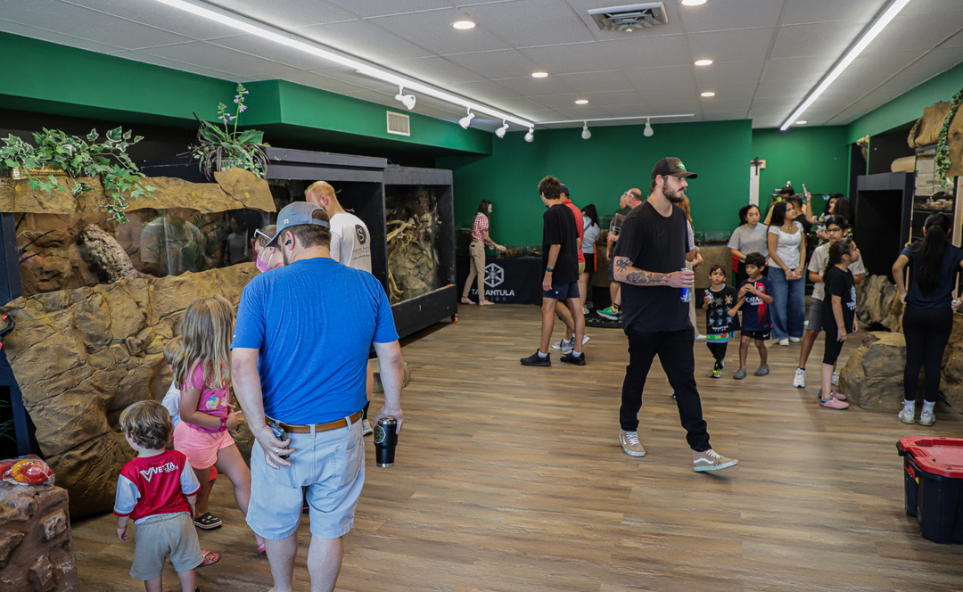 Reptile Room Ticket (Public Hours)