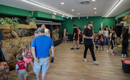 Reptile Room Ticket (Public Hours)