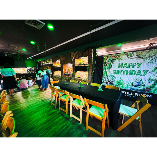 Birthday Party Packages